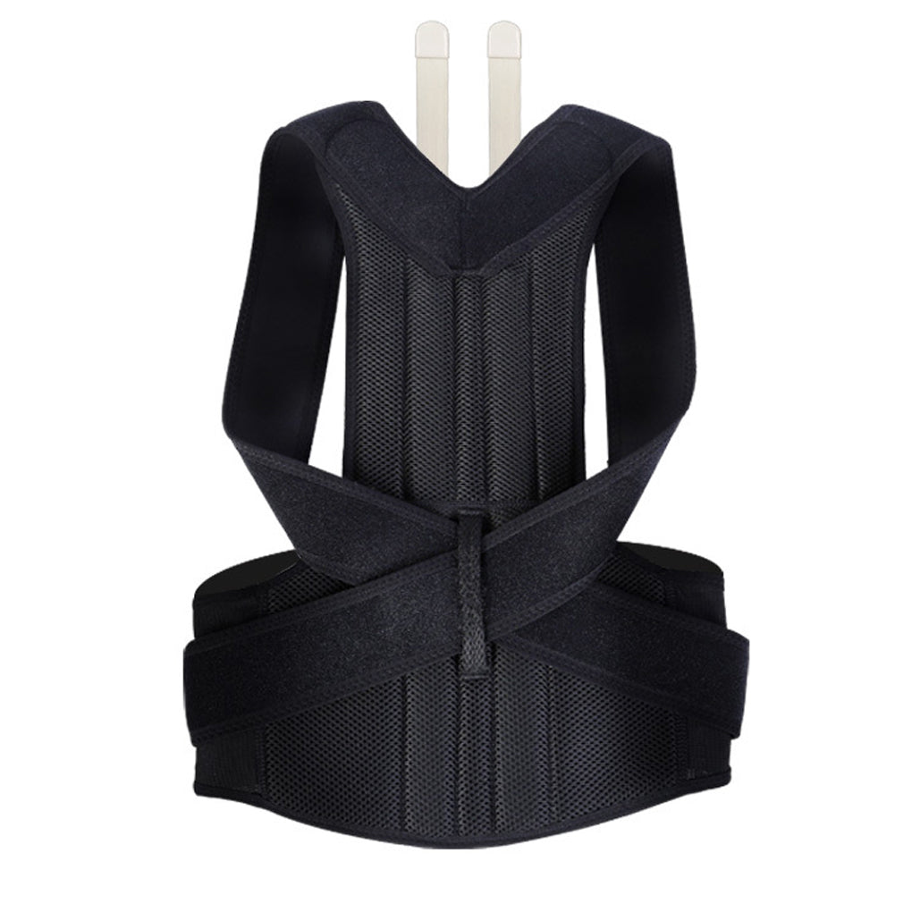 Posture Back Belt